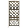 Trellis with Shelves Gray 21.7"x11.8"x55.1" Solid Fir Wood
