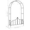Garden Arch with Gate Black 54.3"x15.7"x93.7" Iron