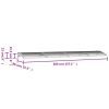 Door Canopy Black 157.5"x31.5" Polycarbonate